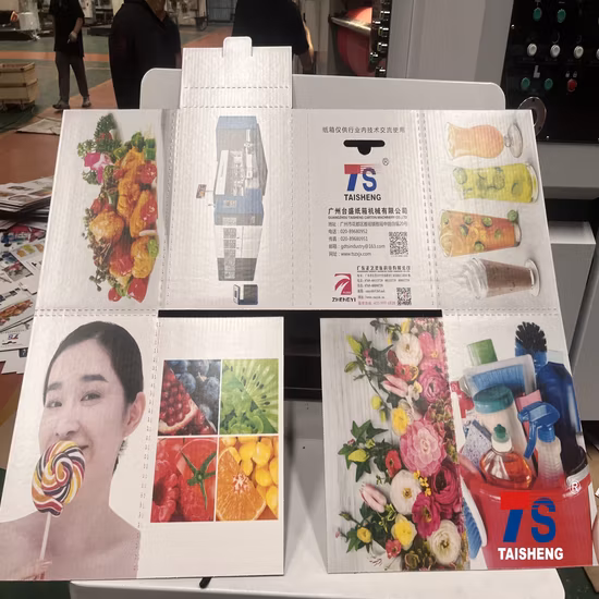 Máquina de corte e vinco giratória totalmente automática para fabricação de caixas personalizadas com ranhura e impressão flexográfica com CE